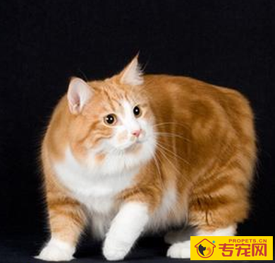 undefined{{pos:,w:,h:}}