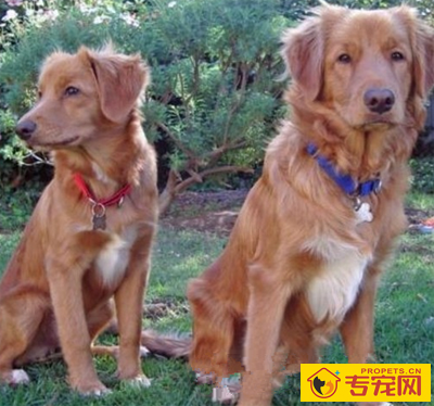 undefined{{pos:,w:,h:}}