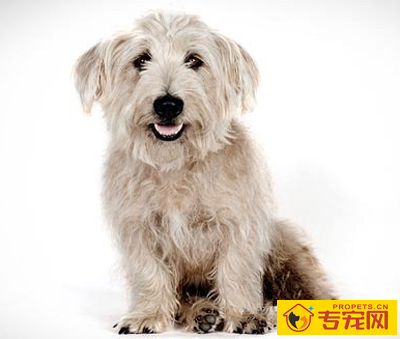 undefined{{pos:,w:,h:}}