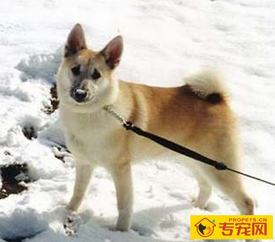 undefined{{pos:,w:,h:}}