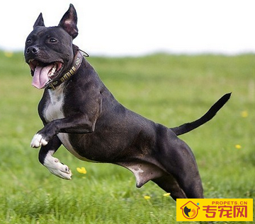 undefined{{pos:,w:,h:}}