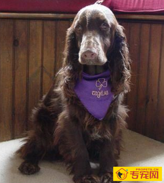 undefined{{pos:,w:,h:}}