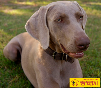 undefined{{pos:,w:,h:}}