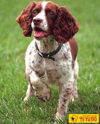 undefined{{pos:,w:,h:}}