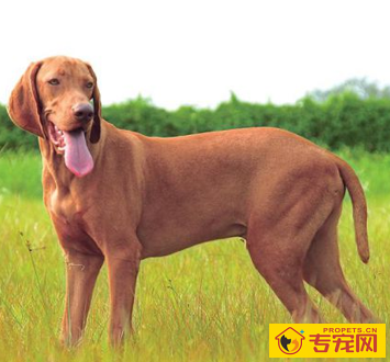 undefined{{pos:,w:,h:}}