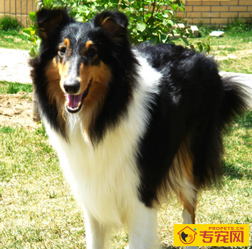 undefined{{pos:,w:,h:}}