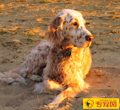 undefined{{pos:,w:,h:}}