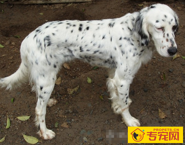 undefined{{pos:,w:,h:}}