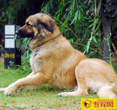 undefined{{pos:,w:,h:}}