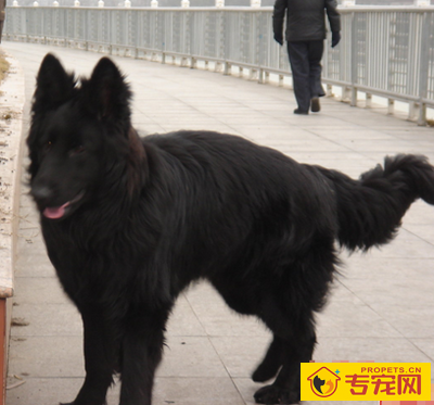 undefined{{pos:,w:,h:}}