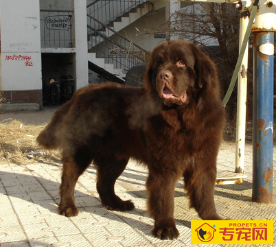 undefined{{pos:,w:,h:}}