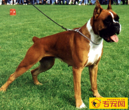 undefined{{pos:,w:,h:}}