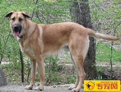 undefined{{pos:,w:,h:}}