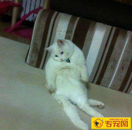 undefined{{pos:,w:,h:}}