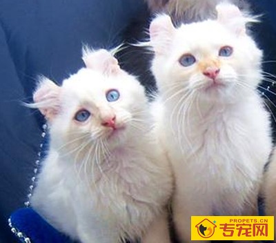 undefined{{pos:,w:,h:}}