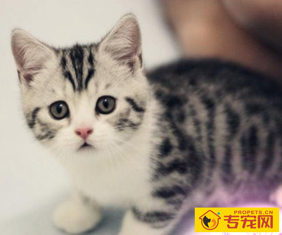 undefined{{pos:,w:,h:}}