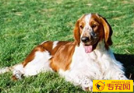 undefined{{pos:,w:,h:}}