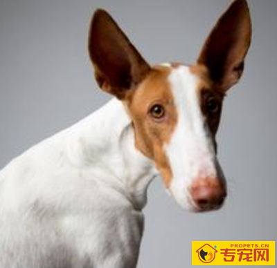 undefined{{pos:,w:,h:}}