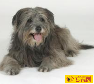 undefined{{pos:,w:,h:}}