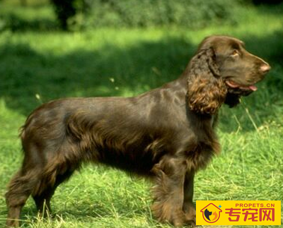 undefined{{pos:,w:,h:}}