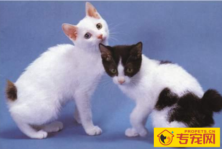 undefined{{pos:,w:,h:}}