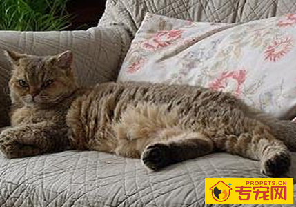 undefined{{pos:,w:,h:}}