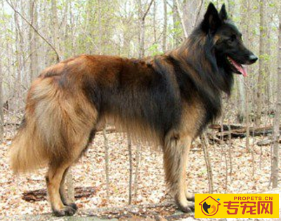 undefined{{pos:,w:,h:}}