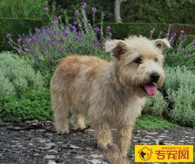 undefined{{pos:,w:,h:}}