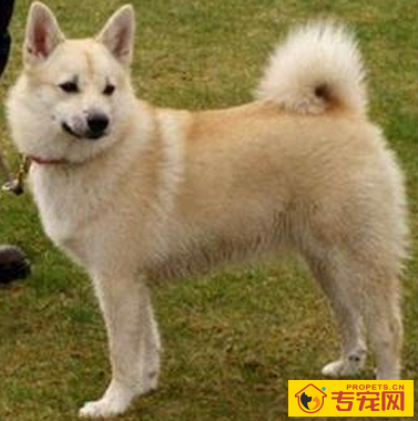 undefined{{pos:,w:,h:}}