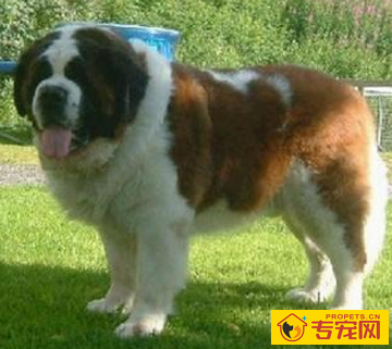 undefined{{pos:,w:,h:}}