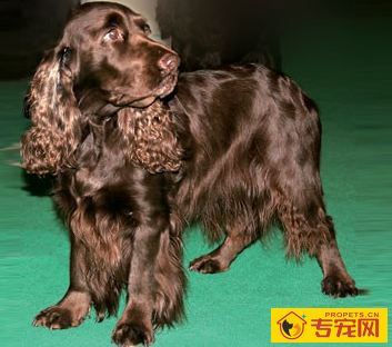 undefined{{pos:,w:,h:}}