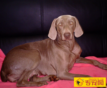 undefined{{pos:,w:,h:}}