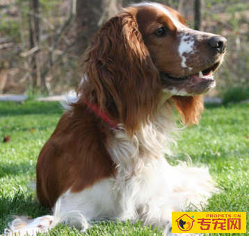 undefined{{pos:,w:,h:}}