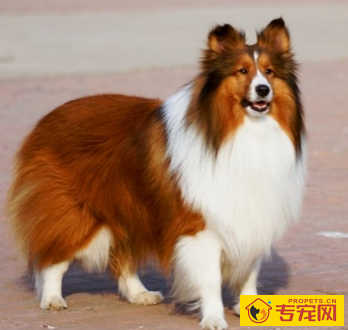 undefined{{pos:,w:,h:}}