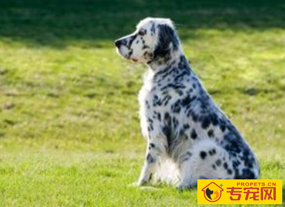 undefined{{pos:,w:,h:}}