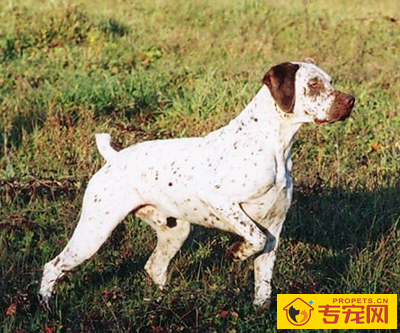 undefined{{pos:,w:,h:}}