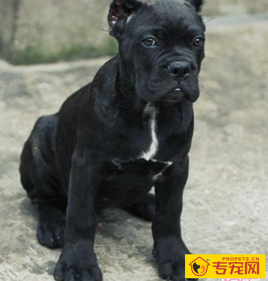 undefined{{pos:,w:,h:}}