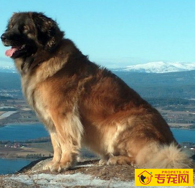 undefined{{pos:,w:,h:}}