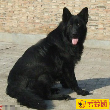 undefined{{pos:,w:,h:}}