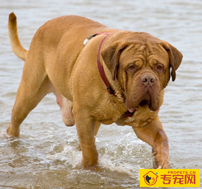 undefined{{pos:,w:,h:}}