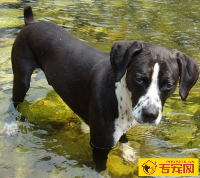 undefined{{pos:,w:,h:}}