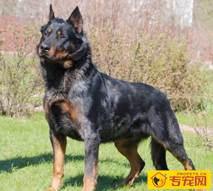 undefined{{pos:,w:,h:}}