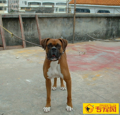 undefined{{pos:,w:,h:}}