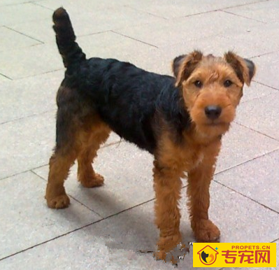 undefined{{pos:,w:,h:}}