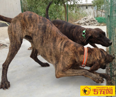 undefined{{pos:,w:,h:}}