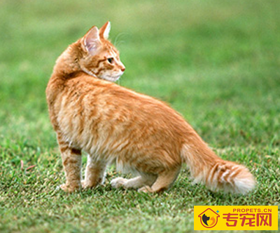 undefined{{pos:,w:,h:}}