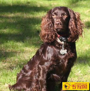 undefined{{pos:,w:,h:}}