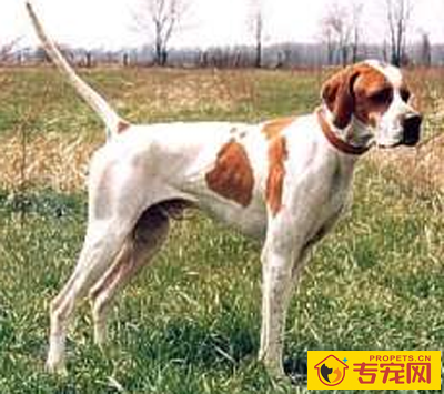 undefined{{pos:,w:,h:}}