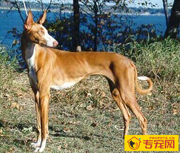 undefined{{pos:,w:,h:}}