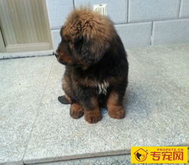 undefined{{pos:,w:,h:}}